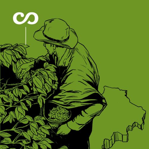 El café busca otras tierras en el Cauca 13 el cafe busca otras tierras en el cauca portada el cafe busca otras tierras en el cauca