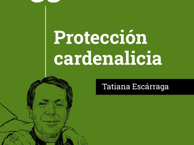 proteccion cardenalicia proteccion cardenalicia redes proteccion cardenalicia