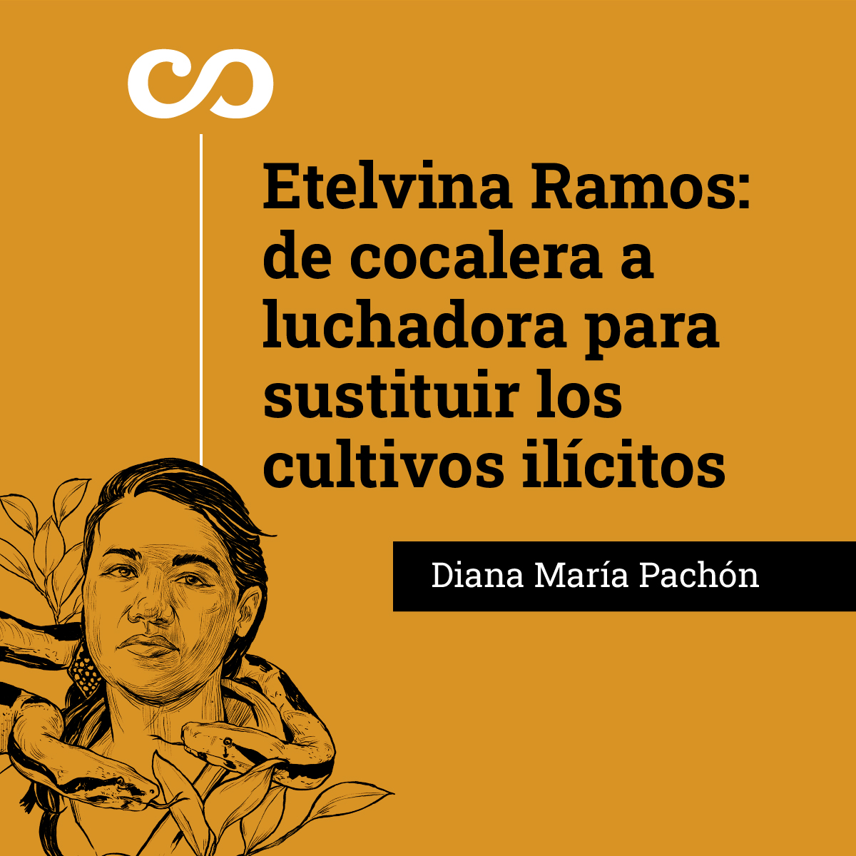 Etelvina Ramos: de cocalera a luchadora para sustituir los cultivos ilícitos