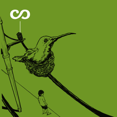 Los niños indígenas de San José del Guaviare y el colibrí, una historia inadvertida 5 los ninos indigenas de san jose del guaviare y el colibri una historia inadvertida portada n el colibri testigo