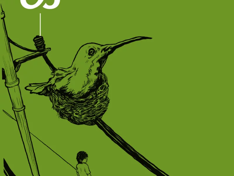 los ninos indigenas de san jose del guaviare y el colibri una historia inadvertida portada n el colibri testigo
