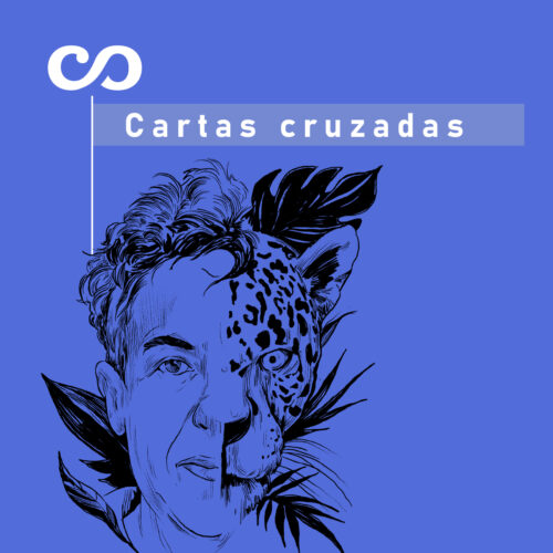 portada n las ninas del naranjel