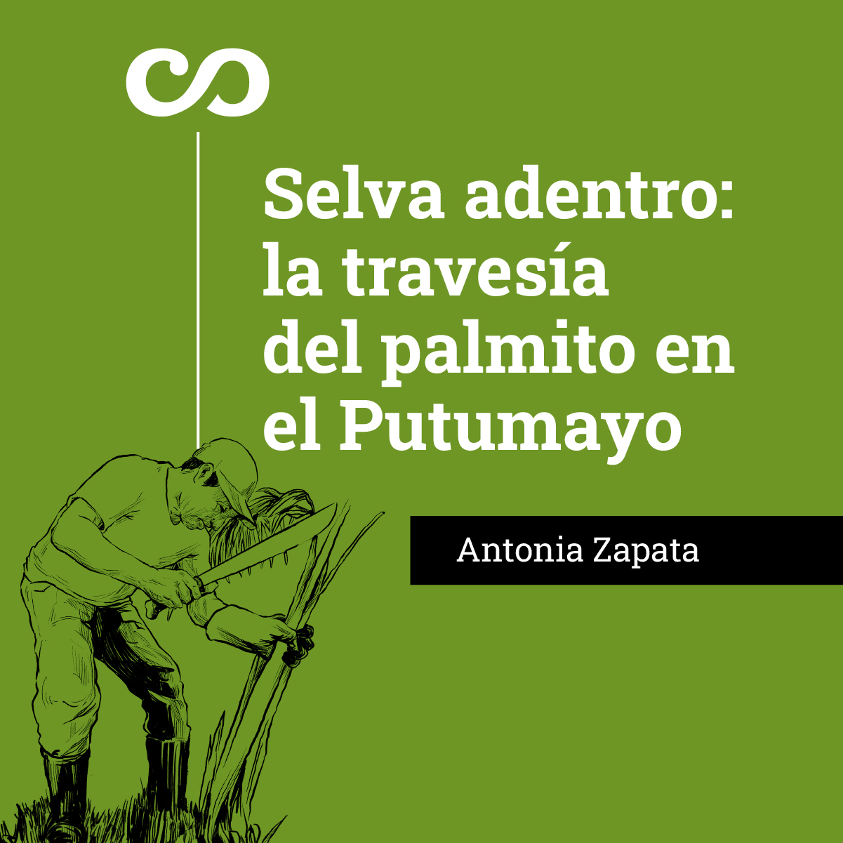 Selva adentro: la travesía del palmito en el Putumayo
