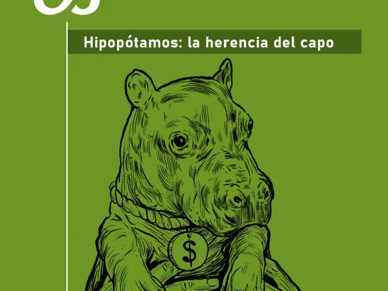 como es el negocio de la venta de crias de hipopotamos en colombia portada hipopotamos primera entrega