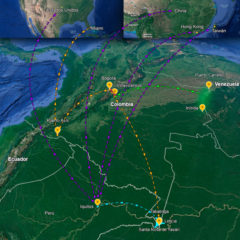 La ruta utilizada para el tráfico ilegal de tortugas matamata inicia en la Orinoquía colombiana, entre Inírida y Puerto Carreño. Después, los cargamentos ilegales son trasladados a Villavicencio y luego a Bogotá. De la capital se dividen y salen hacia Puerto Asís y Leticia. Desde allí, las tortugas se envían a Iquitos, en Perú, una ciudad amazónica que funciona como punto de acopio para las exportaciones de reptiles hacia Estados Unidos, China, Taiwán y Hong Kong.