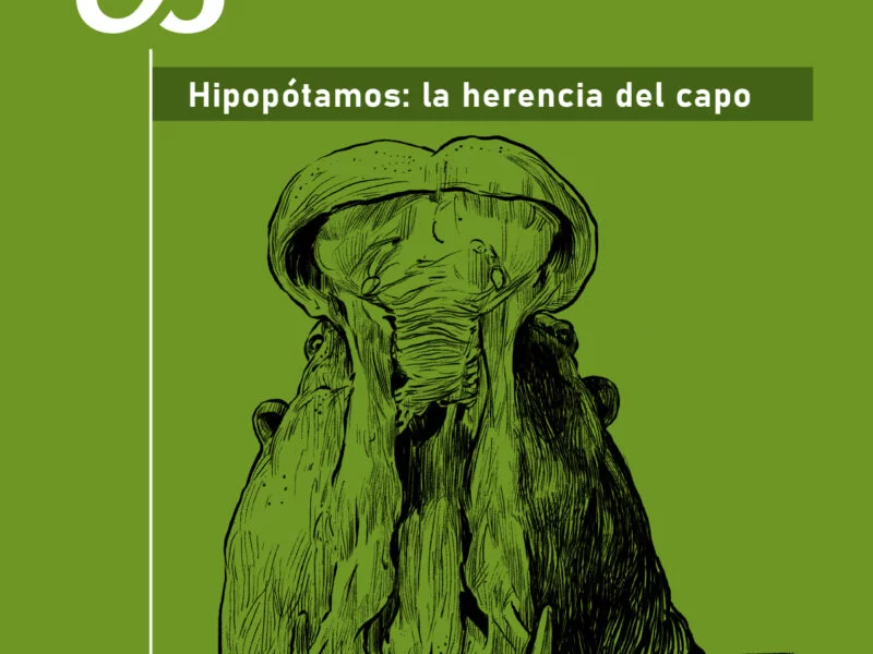 hace falta un muerto para solucionar la invasion de hipopotamos portada hipopotamos 2 hace falta un muerto