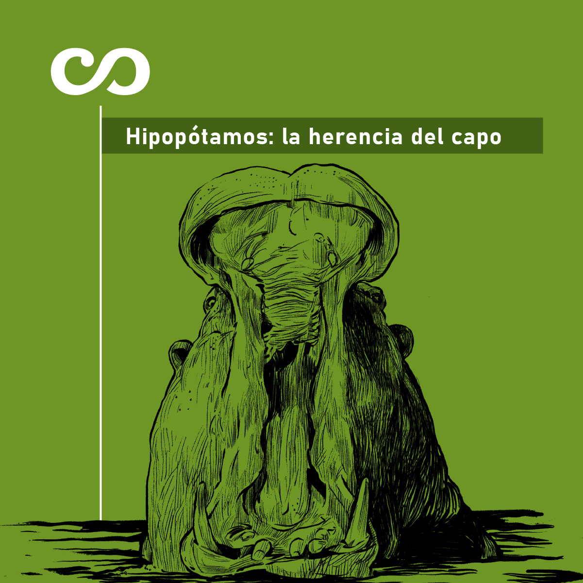 hace falta un muerto para solucionar la invasion de hipopotamos portada hipopotamos 2 hace falta un muerto