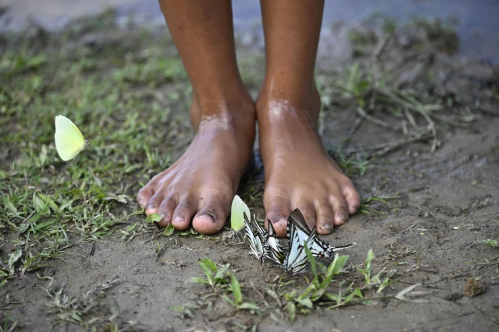 la promesa de un parque infantil la historia de mi regreso a la amazonia fotografia5