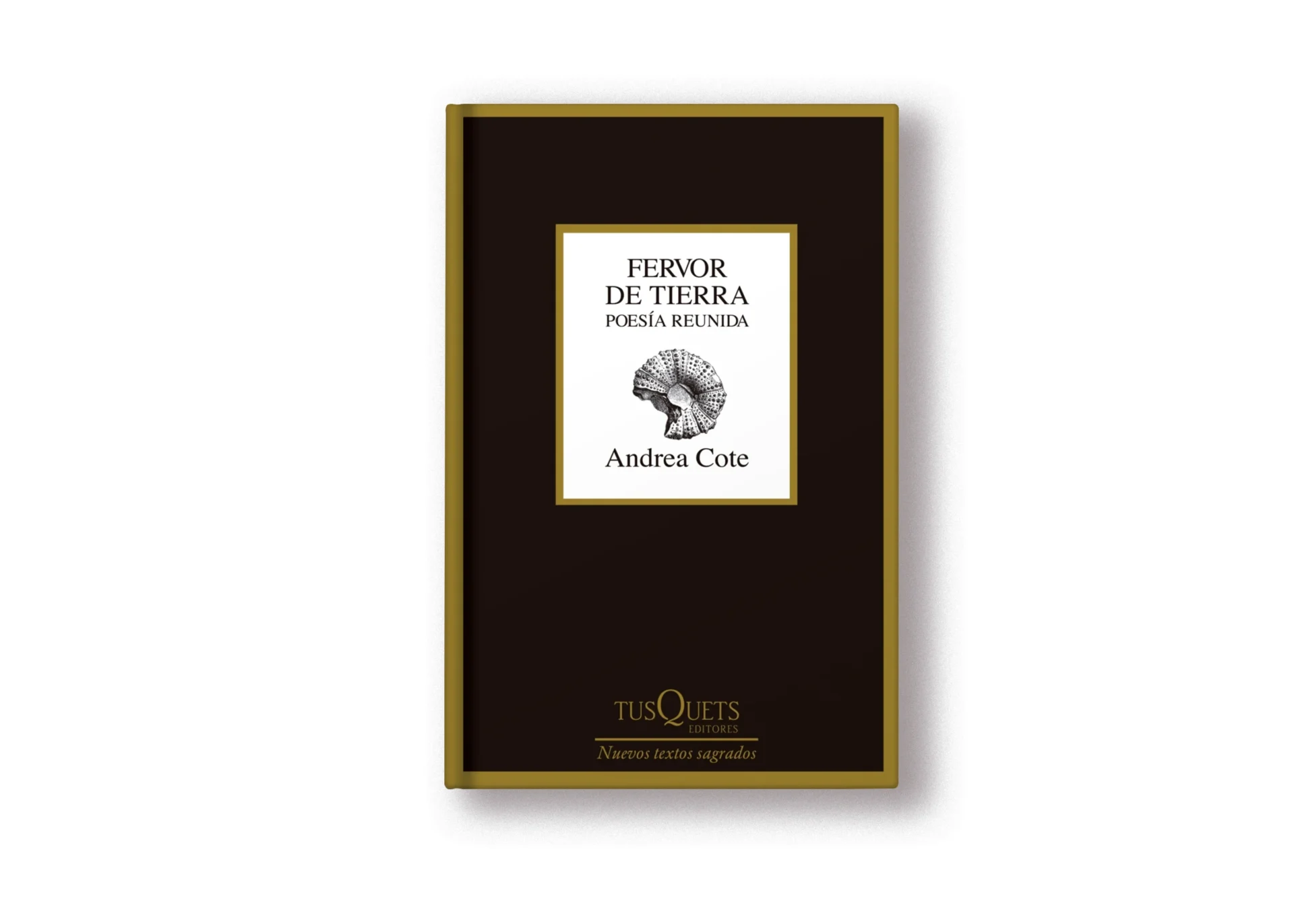 los mejores libros de poesia de 2024 2. fervor de tierra portada