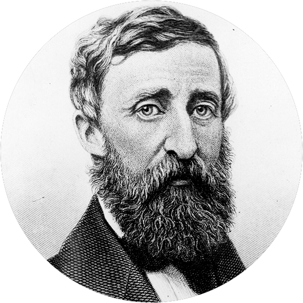 los mejores libros reeditadosde2024 2. flores silvestres autor henry david thoreau