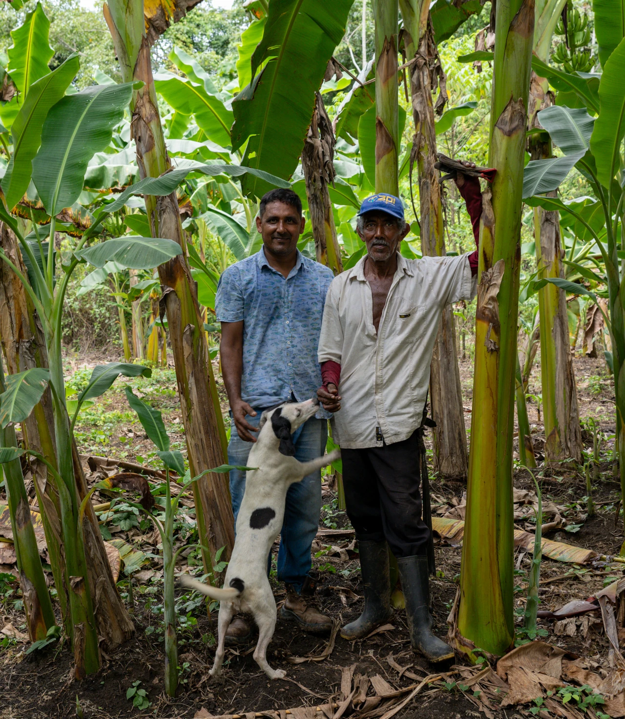 el campesino que encaro a los grupos armados y vivio para contarlo foto1.jpg