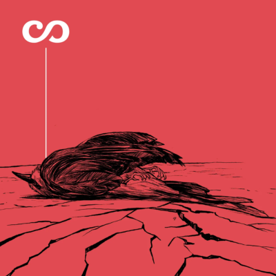 El silencio nace con la muerte de un ave