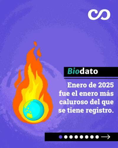 🌍Enero 2025 el mes más caluroso jamás registrado