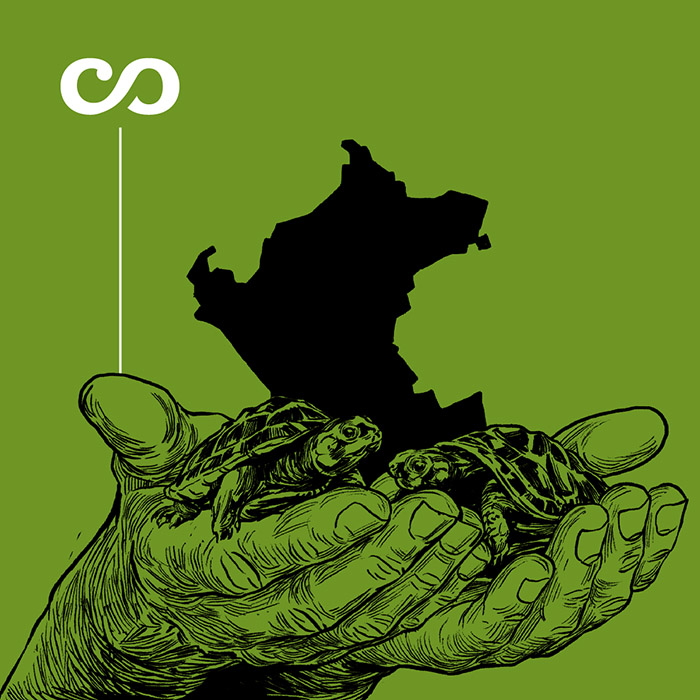 Tortugas en el Amazonas