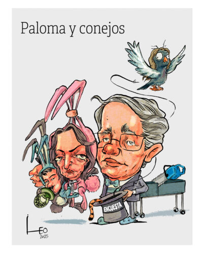 Paloma y conejos