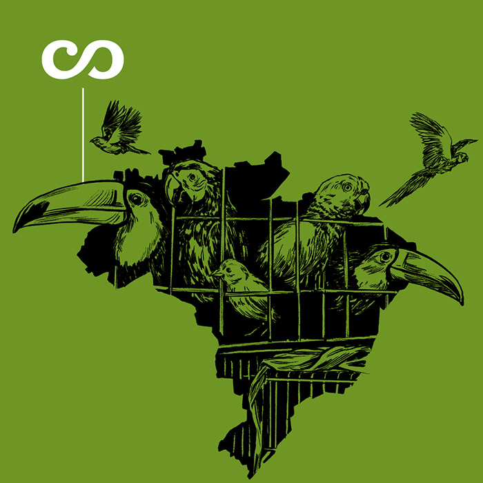 Portada Brasil sin cifras, la Amazonía sin alas