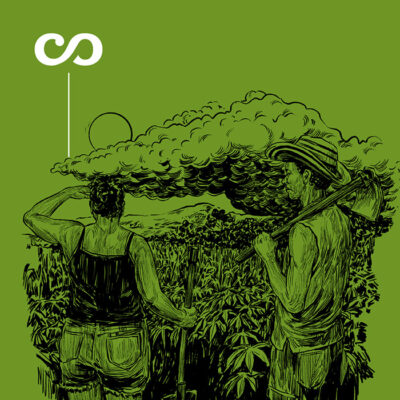 Portada Sembrar a Ciegas en los Montes de María