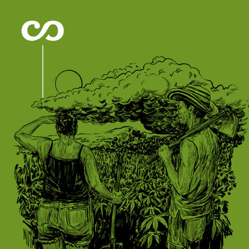 Portada Sembrar a Ciegas en los Montes de María