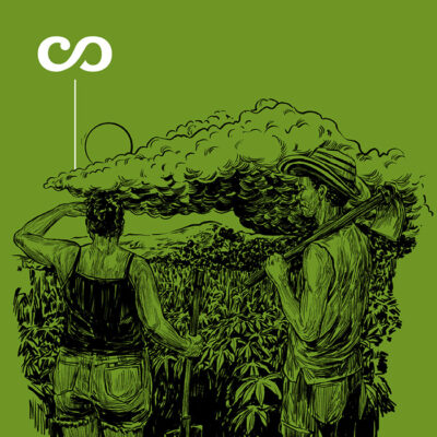 Portada Sembrar a ciegas Montes de María