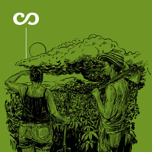 Portada Sembrar a ciegas Montes de María