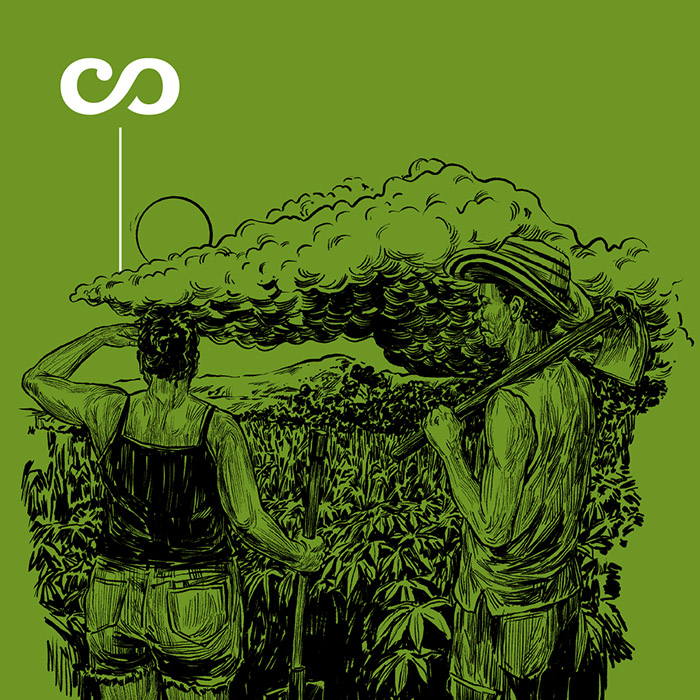 Portada Sembrar a ciegas Montes de María