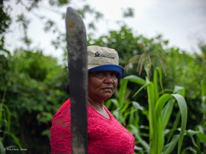 Vuelvas en la siembra de maíz en Playón. Foto Ana María Jessie Serna