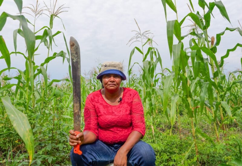 Yamilis Vuelvas entre el maíz de su siembra en Playón. Foto Ana María Jessie Serna1