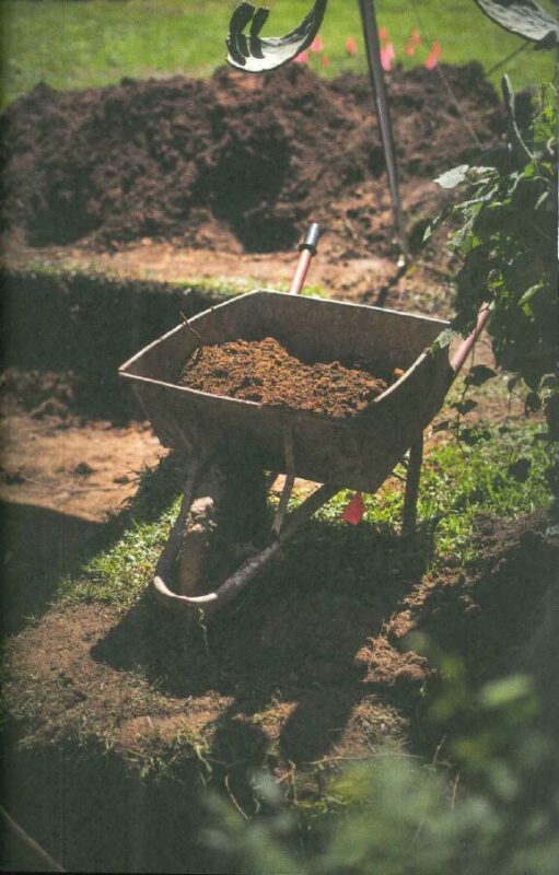 Captura de pantalla 2026 03 10 153613