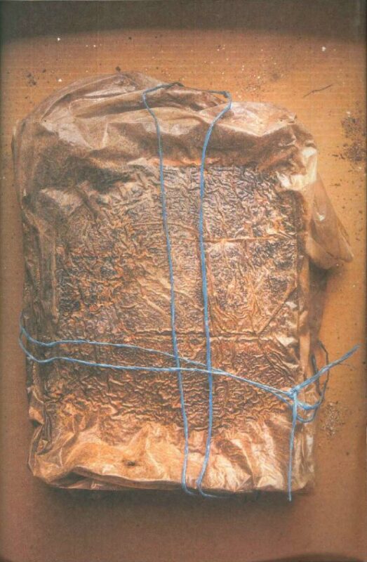 Captura de pantalla 2026 03 10 153648