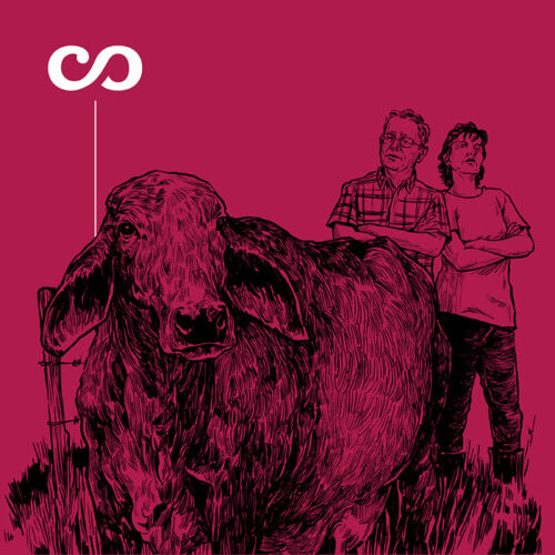 Portada Vaca Impune Ubérrimo