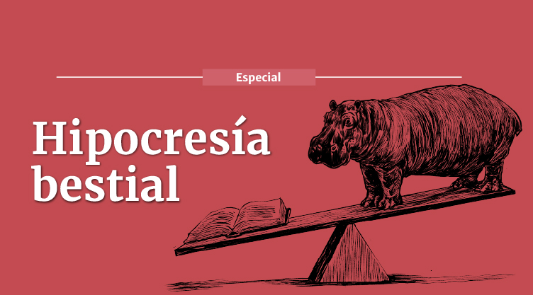 Espeical Hipopótamos