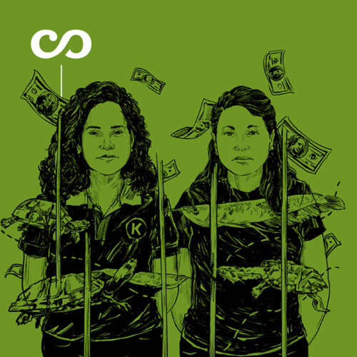 Portada Auge y caída de las hermanas Ferreyra
