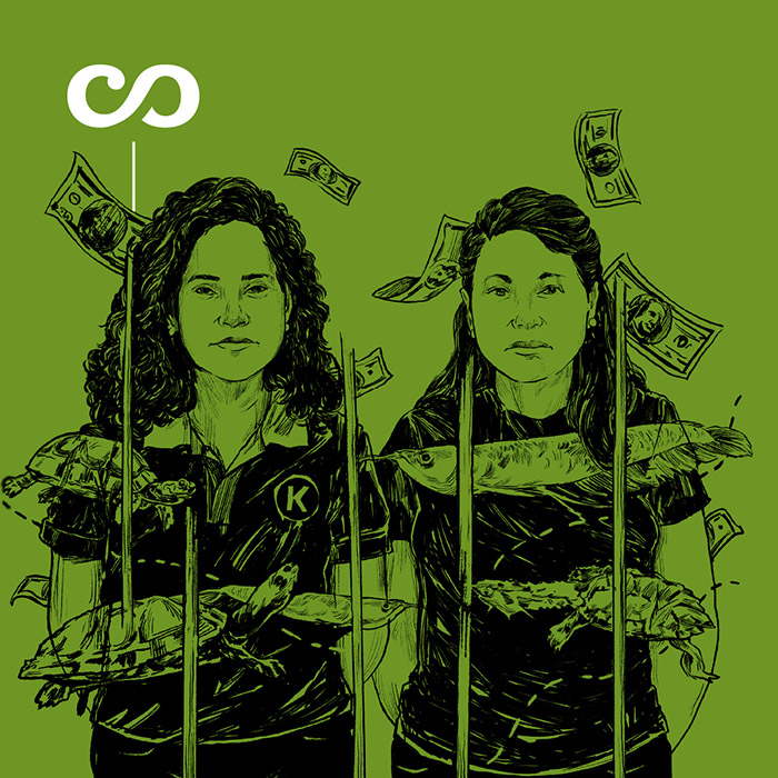 Portada Auge y caída de las hermanas Ferreyra